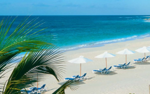 listing.media.image_placeholderOuvrir en plein écran