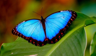 listing.media.image_placeholderOuvrir en plein écran