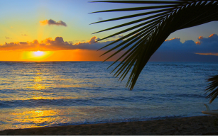 listing.media.image_placeholderOuvrir en plein écran