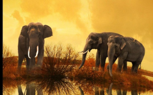 listing.media.image_placeholderOuvrir en plein écran