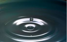 listing.media.image_placeholderOuvrir en plein écran