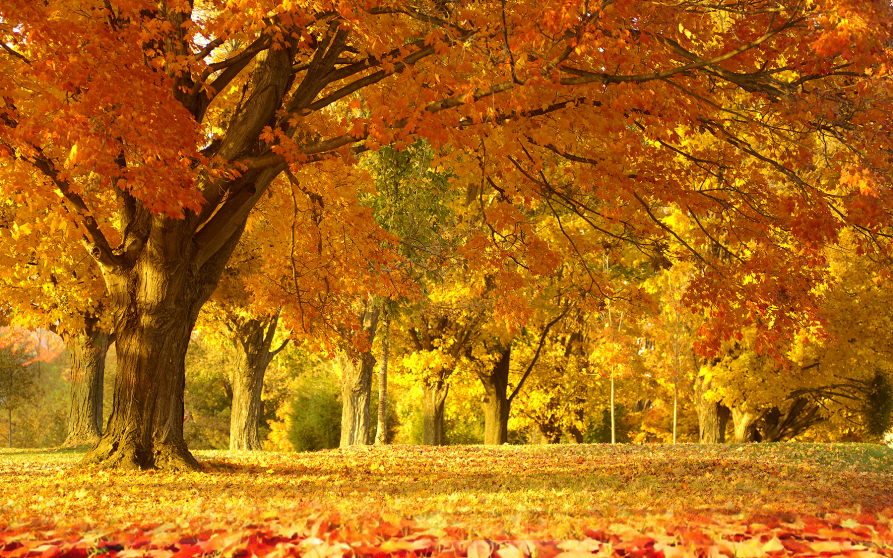 Image d'illustration de Water listing pdf 4 1/1 - Ouvrir en plein écran