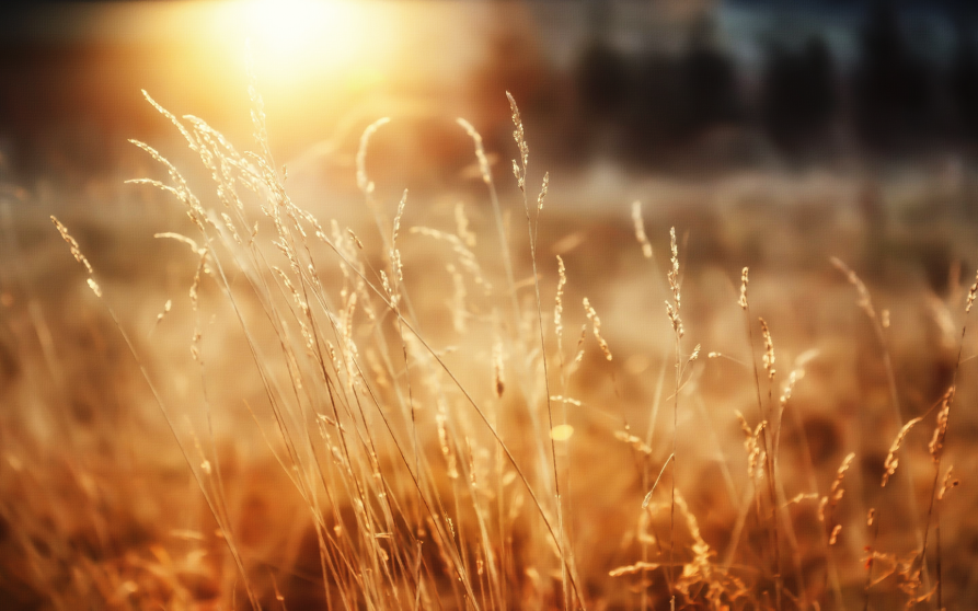 Image d'illustration de Brenda_Harrison_listing 1/1 - Ouvrir en plein écran