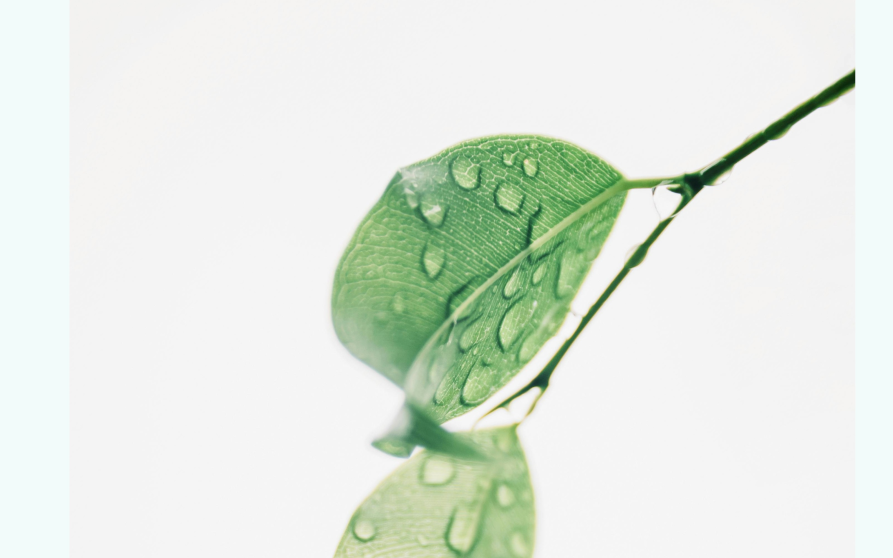 Image d'illustration de Water listing 333 1/1 - Ouvrir en plein écran