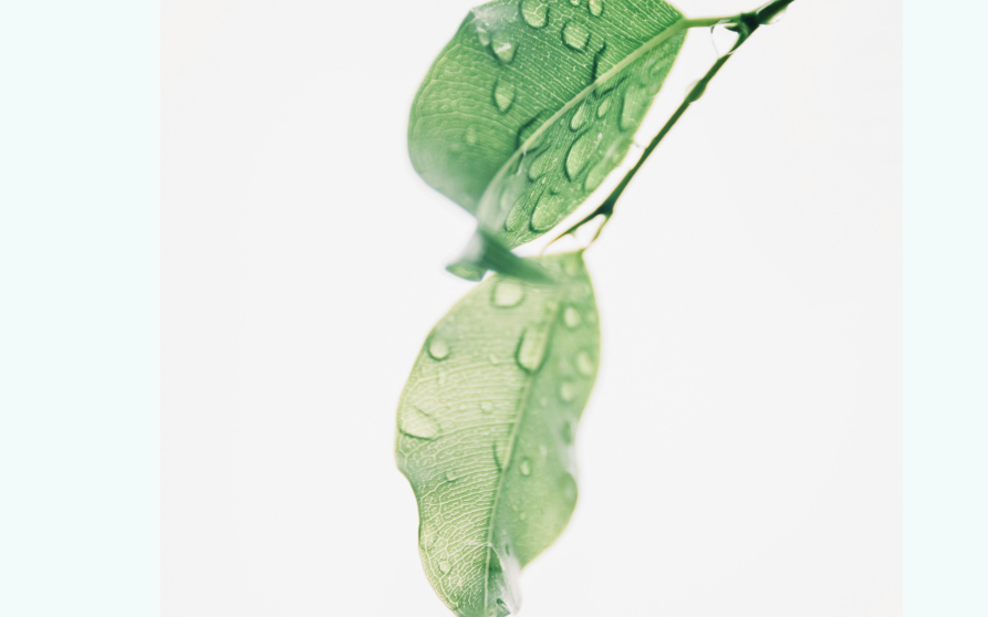 Image d'illustration de Pdf testing 1/1 - Ouvrir en plein écran