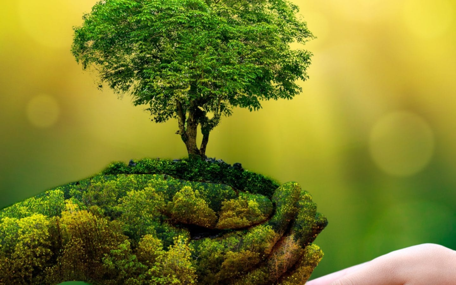 Image d'illustration de Water listing pdf 2 1/1 - Ouvrir en plein écran