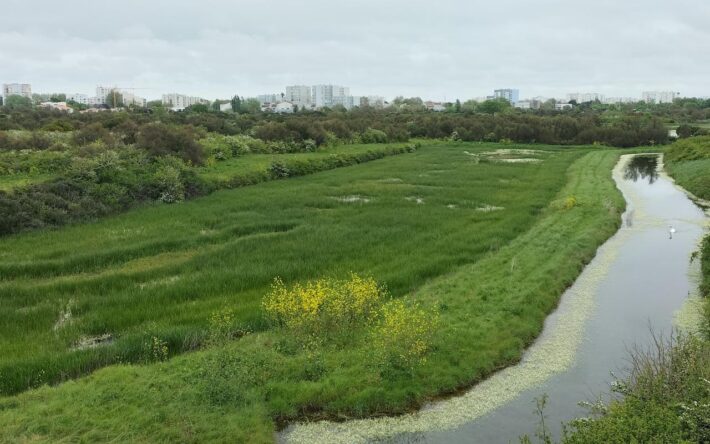 Marais de Tasdon - Crédits photo : Commune de La Rochelle