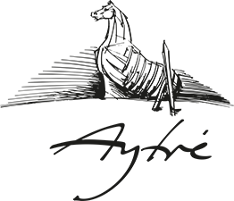 logo-aytré