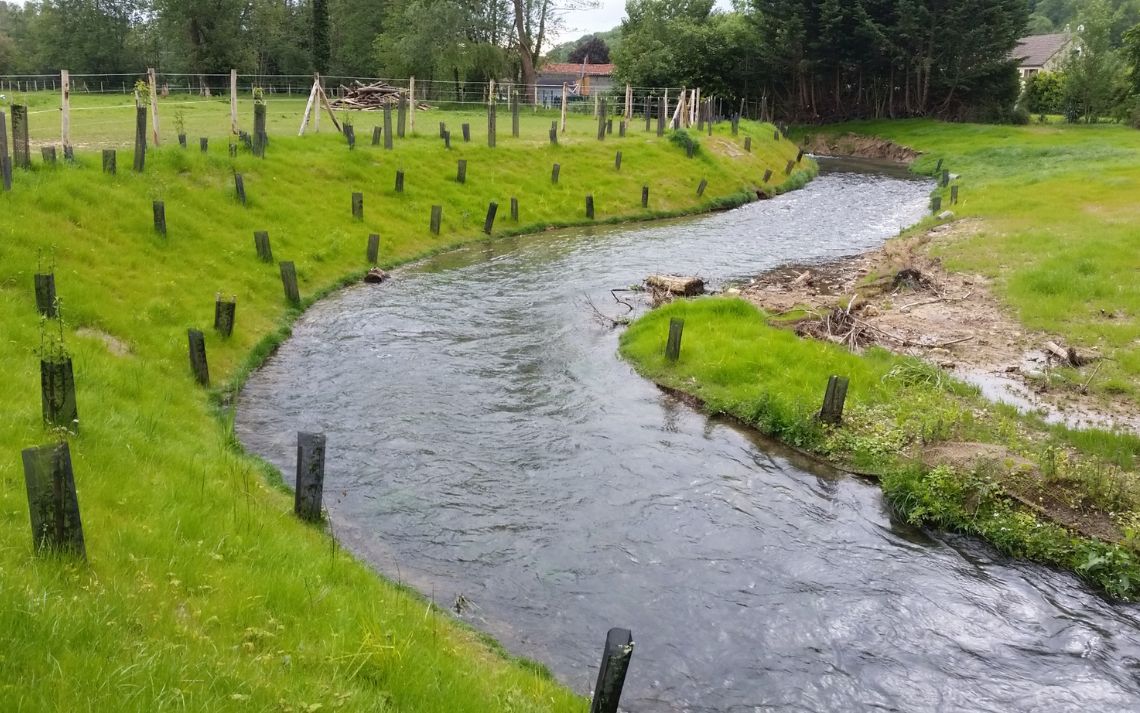 En aval du moulin du Soudet, un nouveau lit de rivière a été aménagé, les berges ont été végétalisées - Crédits photo : EPTBSommeAMEVA
