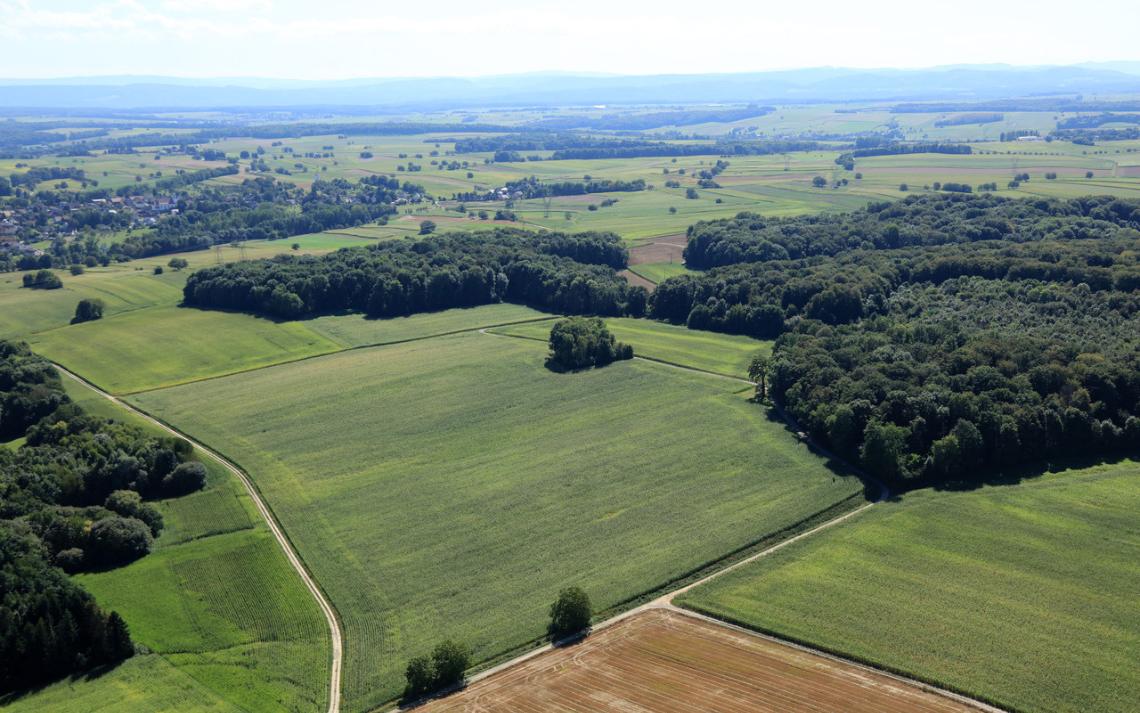 Saint-Louis - Crédits photo : Dominique Grandemange