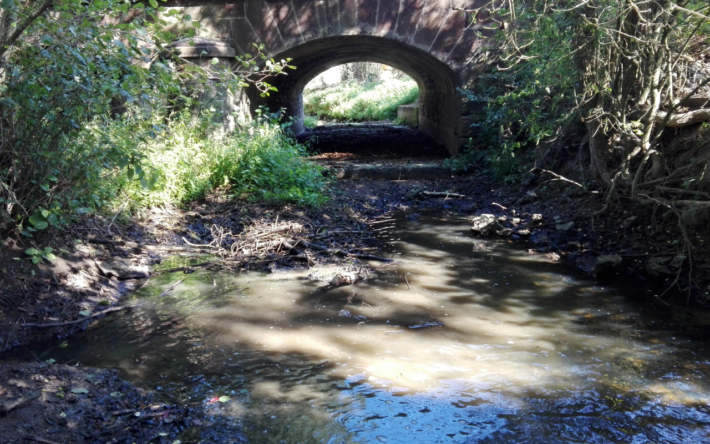 Restauration des berges de la Mazure avant - Crédits photo : Banque des Territoires