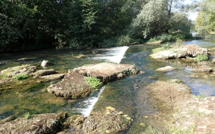 Auparavant, la présence des seuils empêchait une circulation dynamique du cours d'eau - Crédits photo : Communauté de communes du Sammiellois