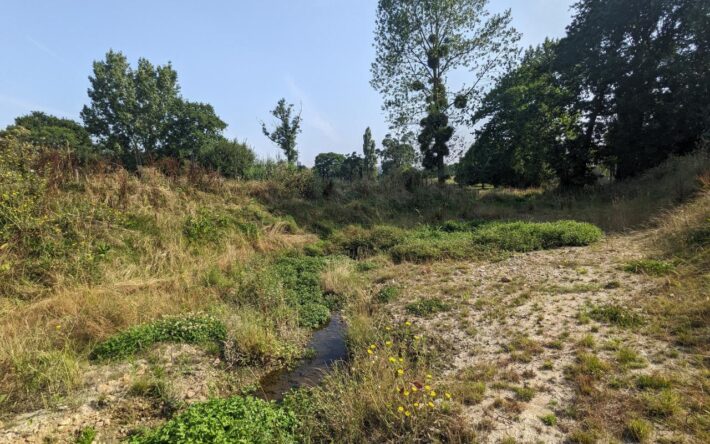 Le ruisseau de la Couaille a retrouvé son lit historique, restauré sur 95 mètres - Crédits photo : Banque des Territoires
