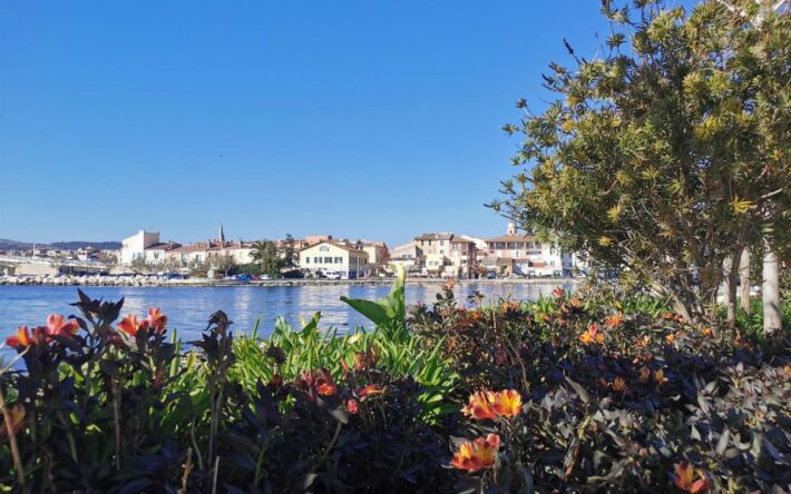 A Martigues, l’arrosage connecté permet de réduire par deux la consommation d’eau - Crédits photo : Ville de Martigues