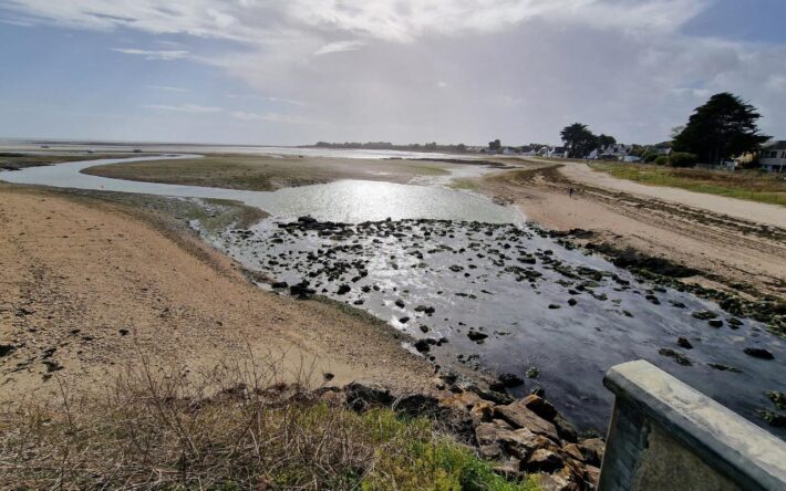 Le quartier de Banastère abrite des viviers sur les bords l'eau – Crédits photo : Banque des Territoires