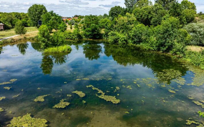 Plan d'eau de Vic en Bigorre - Crédits photo : Ville de Vic en Bigorre