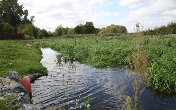 Une eau assainie est rejetée dans un nouveau méandre – Crédits photo : Banque des Territoires