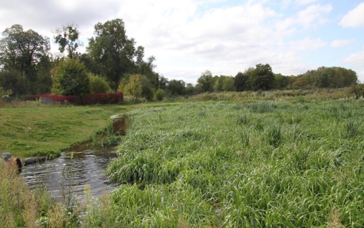 La faune et la flore se développent à quelques dizaines de mètres des bassins – Crédits photo : Banque des Territoires