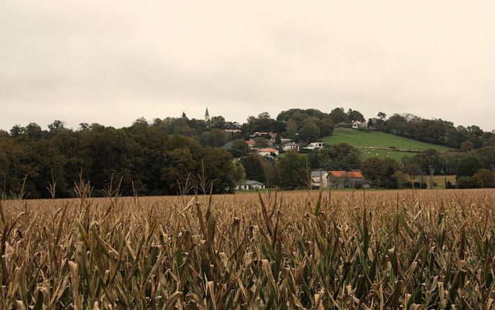 Une commune rurale à habitat dispersé – Crédits photo : Banque des Territoires