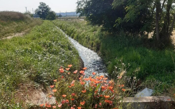 La ressource de secours  – Crédits photo : Banque des Territoires
