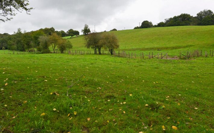 Le cours d’eau a été remis en fond de vallée. Les parcelles sont désormais praticables toute l’année - Crédits photo : Banque des Territoires