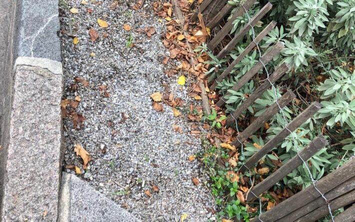 La fosse de plantation de l’arbre de pluie bénéficie d’un trottoir abaissé, qui permet à l’eau de parvenir jusque dans la fosse, ainsi que d’une zone de stockage de l’eau - Crédits photo : Banque des Territoires