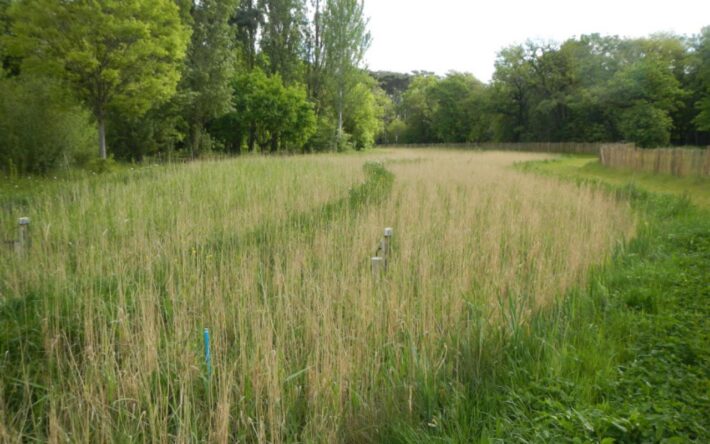 Filtre en fonctionnement dans le Bois de Boulogne après une alimentation - Crédits photo : Ville de Paris