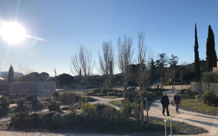 La ville vient d’aménager un nouveau jardin public. Les jeunes arbres ont besoin d’arrosage les premières années - Crédits photo : Banque des Territoires