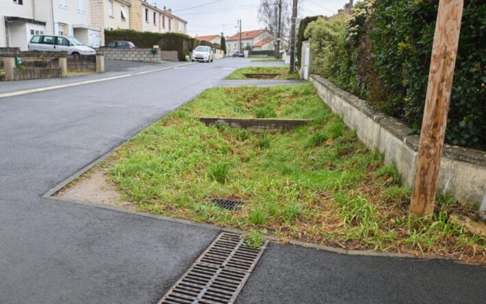 Des espaces verts en creux, aménagés le long des voiries, permettent de stocker et d’infiltrer les eaux avant qu’elles ne rejoignent la chaussée réservoir - Crédits photo : Banque des Territoires