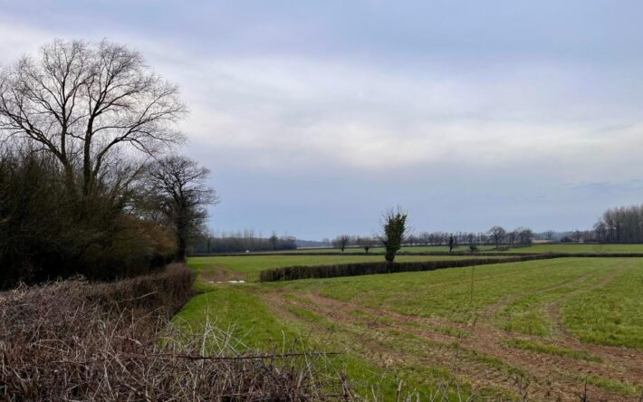 Suite à la coupure, un forage d’essai en vue de créer un deuxième captage a été initié - Crédits photo : Banque des Territoires